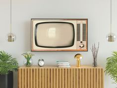 an old fashioned television sitting on top of a wooden cabinet next to potted plants