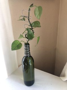 a bottle with a plant in it sitting on a table