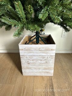 a small tree in a wooden box on the floor