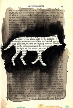 an old book with black and white drawings on it's pages, depicting a cow