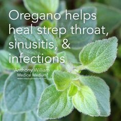 Medical Medium, Healing Food, Healing Herbs, Natural Home Remedies, New Energy, Back To Nature, Health Info