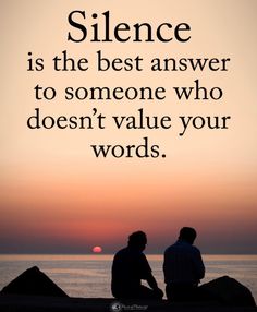 two people sitting on rocks with the sun setting in the background and text that reads,'science is the best answer to someone who doesn't value your words