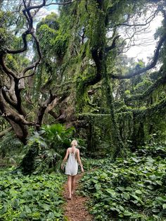 a woman walking down a path in the middle of lush green forest with tall trees