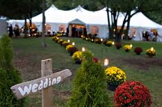 a wooden sign sitting in the middle of a lush green field filled with lots of flowers