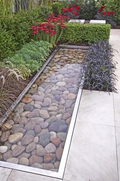 a garden with rocks and plants in it