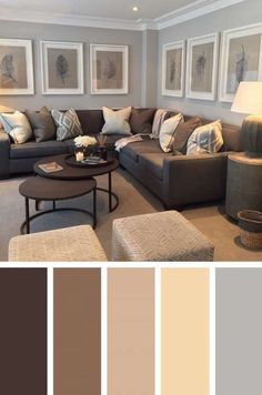 40 Best Two Colour Combination for Living Room