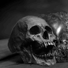 two human skulls are shown in this black and white photo, one is half - turned to the side