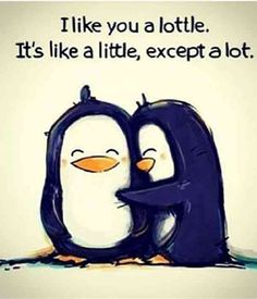 two penguins hugging each other with the caption i like you a lot it's like a little, except at least