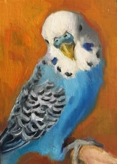 a painting of a blue and white parakeet