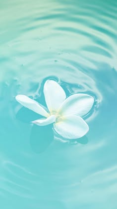 a white flower floating on top of water with ripples in the sky behind it