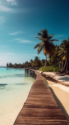 a wooden walkway leading to the beach with palm trees on either side and clear blue water