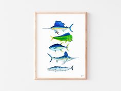 four fish in different colors and sizes on a white wall with a wooden frame above them