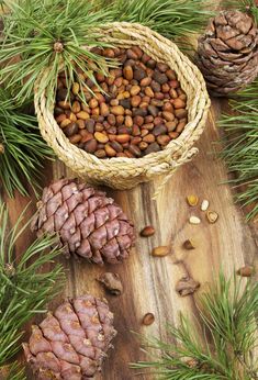 pine cones and nuts in a basket on a wooden table