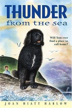 the book cover for thunder from the sea by jon hatt harwo, with an image of a dog sitting on a rock