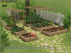 four raised planters with plants growing in them