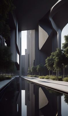 the reflection of trees and buildings in the water