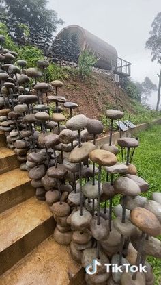 there are many rocks stacked on the steps