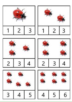 the worksheet is showing how to find the number of ladybugs in each row