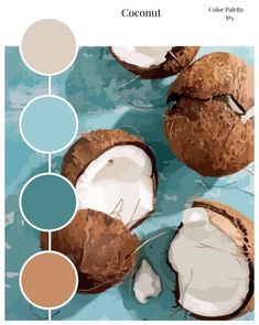 an image of coconuts with different shades