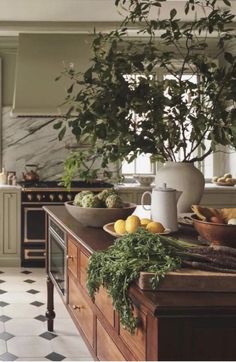 a kitchen counter topped with lots of fruits and vegetables next to a potted plant