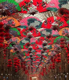 many colorful umbrellas hanging from the ceiling in an open area with lots of trees