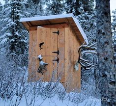 an outhouse in the woods with birds on it