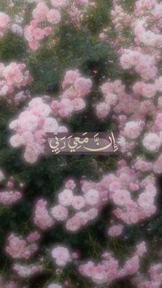 pink flowers with arabic writing in the middle