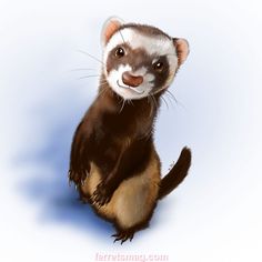 a painting of a ferret sitting on its hind legs and looking at the camera