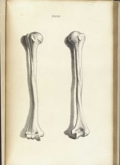 an old book with two bone illustrations on the front and back cover, both showing bones