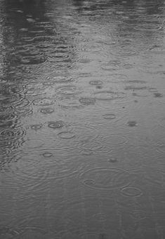 two people walking in the rain with umbrellas