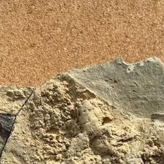 a bird standing on top of a rock next to the ocean and sand beach area