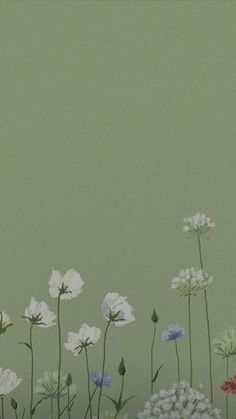 an arrangement of wildflowers against a green wall with white and pink flowers in the foreground