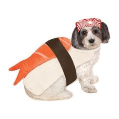 a dog dressed up in a sushi costume