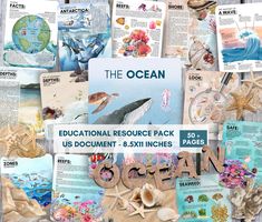 the ocean educational resources pack us document 8x7 inches