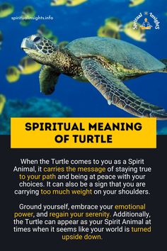 a turtle swimming in the ocean with words describing it's meaning and description below