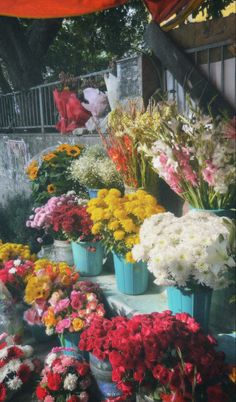 many colorful flowers are on display under an umbrella