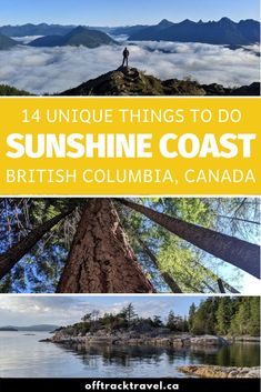 Sunshine Coast Bc, Salish Sea, Temperate Rainforest