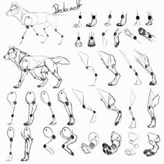 a bunch of drawings of dogs running and jumping