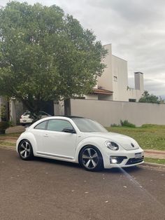 a white car parked in front of a tree