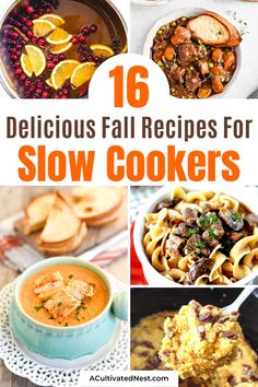 16 delicious fall recipes for slow cookers