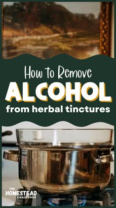 How To Make Medicinal Tinctures, Pineapple Sage Tincture, Peach Pit Tincture, Mullen Tincture Recipe, Mullein Root Tincture Recipe, Herbal Tincture Recipes Healing Herbs, Antibiotic Tincture, Ashwagandha Tincture, Herbal Tinctures Recipes