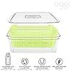 plastic food container with lid and divider