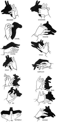 several different types of hands that are pointing at something in the air with their fingers