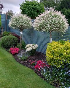 the garden is full of colorful flowers and trees