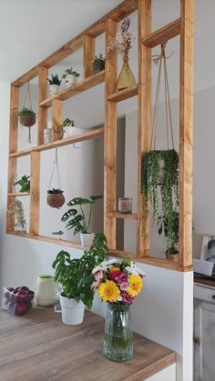 a wooden shelf filled with potted plants on top of a counter next to a wall mounted mirror