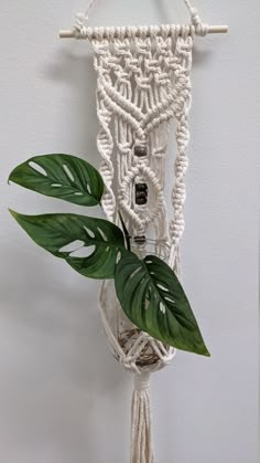 a white macrame hanging on a wall with a green plant in the middle