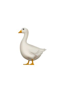 a white duck standing on top of a white floor