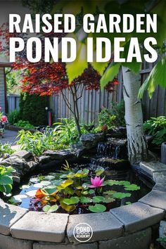 the cover of raised garden pond ideas