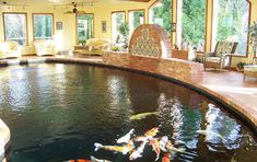 there are many fish swimming in the pond outside of this house's living room