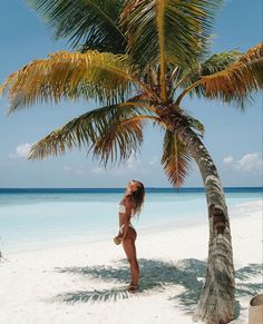 a woman is standing under a palm tree on the beach in front of the ocean